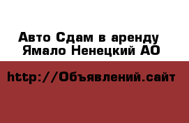 Авто Сдам в аренду. Ямало-Ненецкий АО